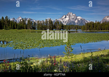 Wy 02555-00 ... Wyoming - die Teton Range über den stillen Wassern des Heron Teich am Rande der Jackson Lake im Grand Teton National Park entfernt. Stockfoto