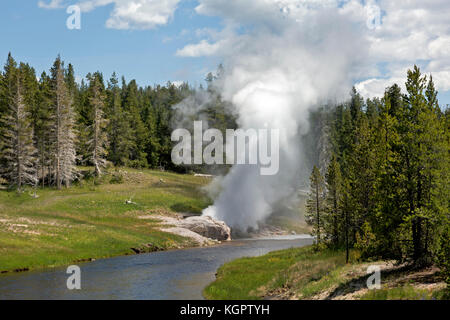 Riverside geyser auf der firehole Fluss des Yellowstone National Park entfernt. Stockfoto