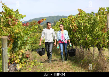 Paar Winzer Wandern im Weinberg Stockfoto