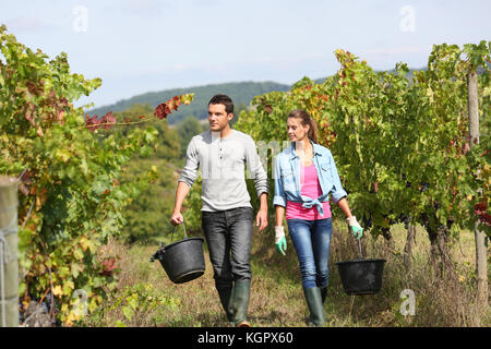 Paar Winzer Wandern im Weinberg Stockfoto