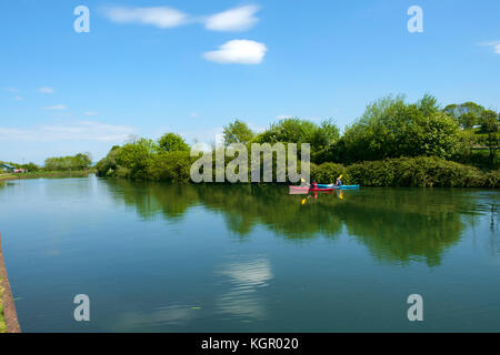 Zwei Leute in Kajaks paddeln entlang der placid Gloucester & Schärfe Canal an Purton im Sommer Sonnenschein, Gloucestershire, VEREINIGTES KÖNIGREICH Stockfoto