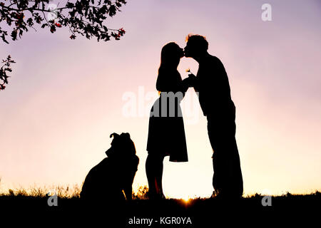 Die Silhouette eines glückliches junges Ehepaar in Liebe, Küssen underan Eiche, neben ihrem Haustier Hund draußen in einer Sommernacht. Stockfoto