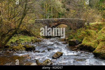 Steinerne Brücke über einen Fluss Stockfoto
