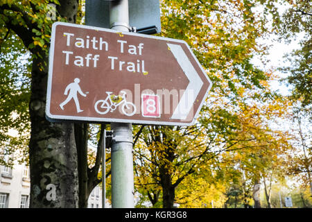 Taff Trail, Zyklus, Pfad, in der Nähe von, Bute Park, Herbst, Herbst, Laub, Bäume, grün, grün, grün, Cardiff, Hauptstadt, Caerdydd, South Glamorgan, Wales, Welsh, Großbritannien, Stockfoto