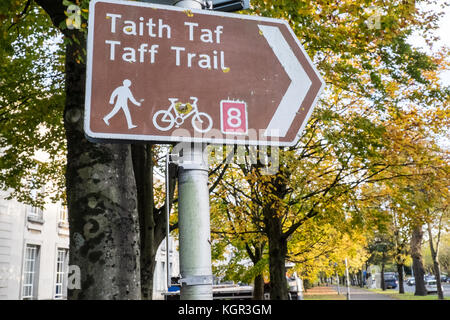 Taff Trail, Zyklus, Pfad, in der Nähe von, Bute Park, Herbst, Herbst, Laub, Bäume, grün, grün, grün, Cardiff, Hauptstadt, Caerdydd, South Glamorgan, Wales, Welsh, Großbritannien, Stockfoto