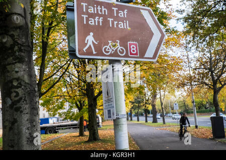 Taff Trail, Zyklus, Pfad, in der Nähe von, Bute Park, Herbst, Herbst, Laub, Bäume, grün, grün, grün, Cardiff, Hauptstadt, Caerdydd, South Glamorgan, Wales, Welsh, Großbritannien, Stockfoto