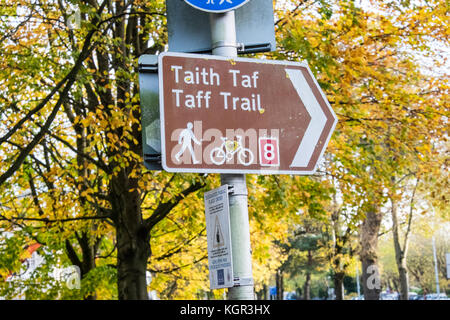 Taff Trail, Zyklus, Pfad, in der Nähe von, Bute Park, Herbst, Herbst, Laub, Bäume, grün, grün, grün, Cardiff, Hauptstadt, Caerdydd, South Glamorgan, Wales, Welsh, Großbritannien, Stockfoto