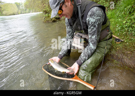 Fliege - Fischer holding Fario Forelle im Fluss gefangen Stockfoto