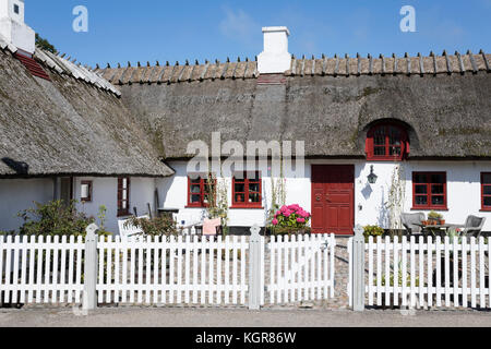 Traditionelle weiße Dänische Cottage mit weissen Lattenzaun, Gilleleje lackiert mit Strohdach, Kattegat Coast, Neuseeland, Dänemark, Europa Stockfoto