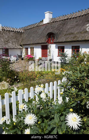 Traditionelle weiß lackiert strohgedeckten Dänischen Häuschen und Garten mit weissen Lattenzaun, Gilleleje, Kattegat Coast, Neuseeland, Dänemark, Europa Stockfoto