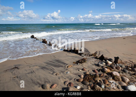 Alte Holz- beiträge und Kies auf Sand Strand mit brechenden Wellen und cumulus Wolken, Rageleje, Kattegat Coast, Neuseeland, Dänemark, Europa Stockfoto