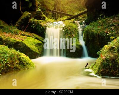 Stromschnellen auf kleinen Gebirgsbach zwischen moosbewachsenen Basaltfelsen. verschwommen Wasser Wellen laufen über Steine, bunte Blätter an Banken. hohe Luftfeuchtigkeit in der a Stockfoto