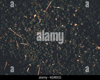 Rohstoff Gummi Kunststoff Gras auf künstliche Fußball rasen. close up in der Kontrolle der Gummi Stücke für Rasen. Winter Fußball Spielplatz Stockfoto