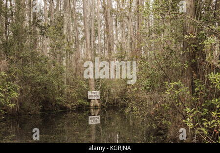 Mirror Lake an Okefenokee National Wildlife Refuge, Georgien Stockfoto