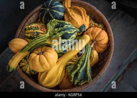Mini Kürbisse, Zucchini und Kürbisse in runder Korb arrangiert auf rustikalen Holzmöbeln trunk Stockfoto