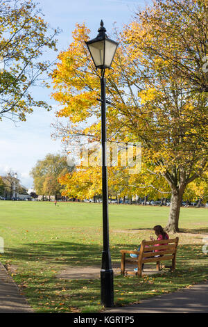 Richmond Green im Herbst, Richmond, London Borough von Richmond upon Thames, London, England, Vereinigtes Königreich Stockfoto