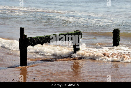 Überreste einer groyne. Stockfoto