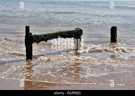 Überreste einer groyne. Stockfoto