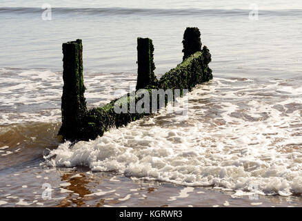 Überreste einer groyne. Stockfoto