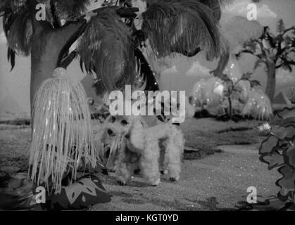 Die Batterie torchy Boy (1957) TV-Serie, Serie, Episode 4, das Gebäude der Frutown Datum: 1957 Stockfoto