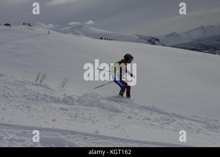Skimountaineering Wm Tromsø, Randonee Racing Stockfoto
