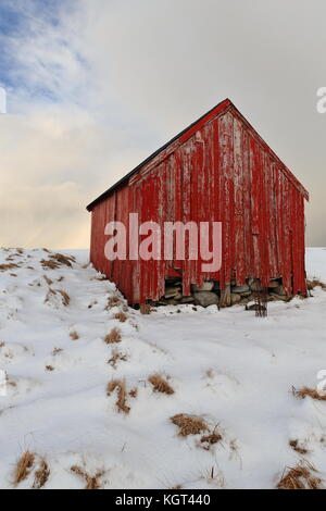 Alte abgeplatzte Holz- rot Rorbu - Fischen Hütte über trockenen Steinboden - traditionelle Bootshaus mit verschneiten schwarzen Dach - die verschneite Küste von North vestgagoya Insel Stockfoto