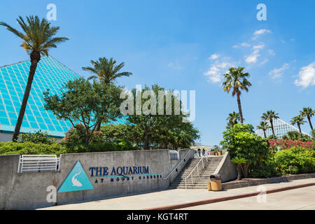 Aquarium Pyramide Moody Gardens Galveston Island Golf Von