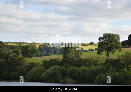 Landschaft im bradfield Stockfoto