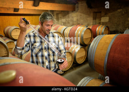 Winzer erste Probe der Rotwein vom Fass Stockfoto