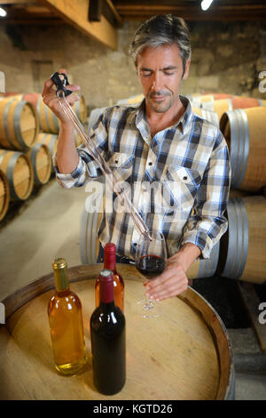 Winzer erste Probe der Rotwein vom Fass Stockfoto