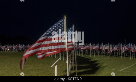 Nacht Blick auf eine Vielzahl von amerikanischen flasgs in einer Reihe ausgerichtet Stockfoto