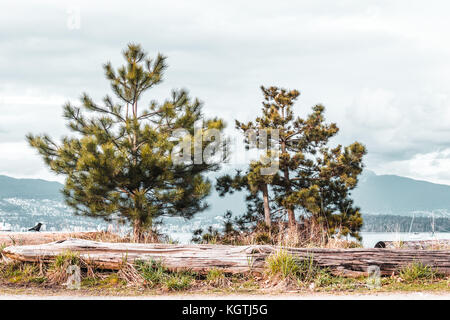 Foto von Jericho Beach Park in Vancouver, BC, Kanada Stockfoto