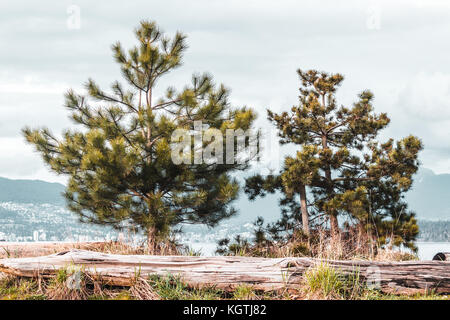 Foto von Jericho Beach Park in Vancouver, BC, Kanada Stockfoto