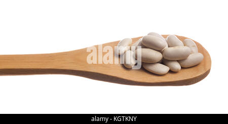 Phaseolus vulgaris ist wissenschaftlicher Name der Marine Bohne Hülsenfrucht. Auch bekannt als weiße, pearl Bean und feijao Branco. Körner über Holzlöffel, isolierte whi Stockfoto