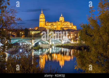 Kathedrale von Salamanca und der Brücke über den Fluss Tormes, Spanien Stockfoto