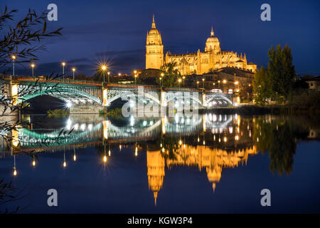 Kathedrale von Salamanca und der Brücke über den Fluss Tormes, Spanien Stockfoto