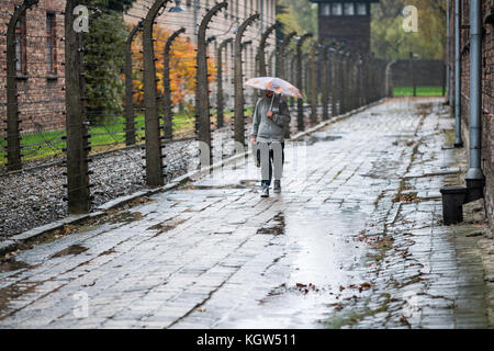 Touristen im Konzentrationslager Auschwitz in Polen, in Europa. Stockfoto