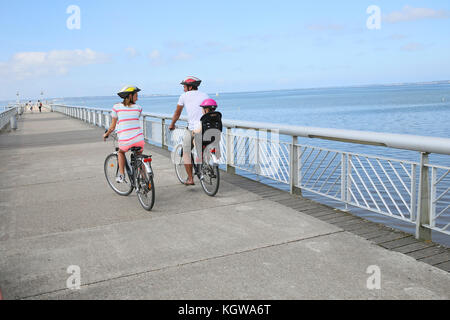 Rückansicht der Familie auf einem Fahrrad Reise durch das Meer Stockfoto