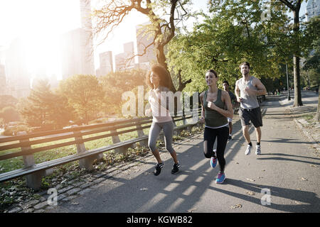 Gruppe von joggern Ausübung am Central Park, NYC Stockfoto