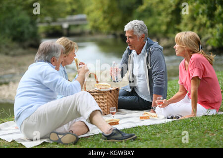 Gruppe von älteren Menschen mit Picknick an einem sonnigen Tag Stockfoto
