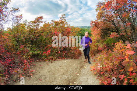 Eine junge schlanke sportliche Frau in eine schwarze Leggins und blaue Jacke läuft auf der Bunte rote herbstliche Forest Hill. Foto anzeigen Aktive gesunde Lebensweise. Stockfoto