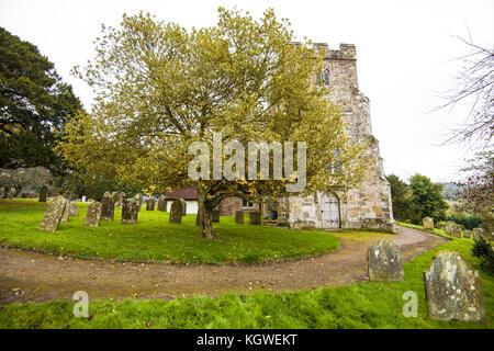 Szenen Aus Dem Crowhurst Village. Kirche. Eibenbaum. Station. Eichen. Ein wunderschönes Dorf in East Sussex mit vielen Tieren Stockfoto