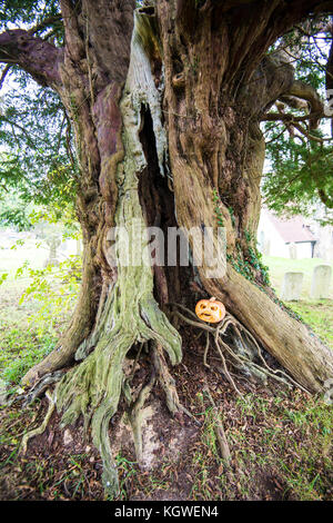 Szenen Aus Dem Crowhurst Village. Kirche. Eibenbaum. Station. Eichen. Ein wunderschönes Dorf in East Sussex mit vielen Tieren Stockfoto