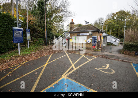 Szenen Aus Dem Crowhurst Village. Kirche. Eibenbaum. Station. Eichen. Ein wunderschönes Dorf in East Sussex mit vielen Tieren Stockfoto