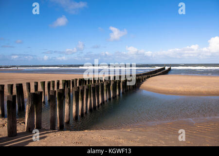 Niederlande, am Strand in Domburg auf der Halbinsel Walcheren, groins. Niederlande, am Strand von Domburg auf Walcheren, Buchen. Stockfoto