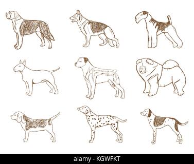 Hunde eingestellt. Vector Illustration. cartoon Skizze auf weißem Hintergrund. Stock Vektor