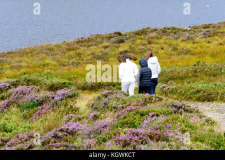 Drei Geschwister (zwei Schwestern und einen Bruder) genießen Sie die Aussicht auf Loch Tollie in Wester Ross, an der Westküste von Schottland und den Atlantischen Ozean Stockfoto