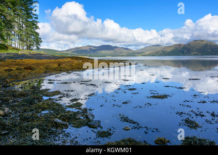 Schönen Loch Creran, ein Salzwasserpool loch voller Wasserlebewesen und Algen in der Nähe von Oban an der Atlantikküste in Central Scotland Stockfoto