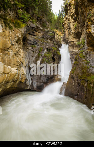 Lower Falls in der Johnston Canyon, Banff National Park, Kanada Stockfoto