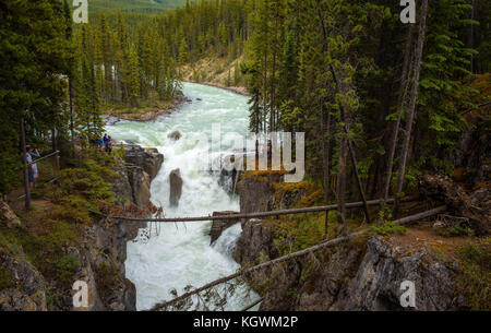 Sunwapta Falls im Jasper National Park, Kanada Stockfoto
